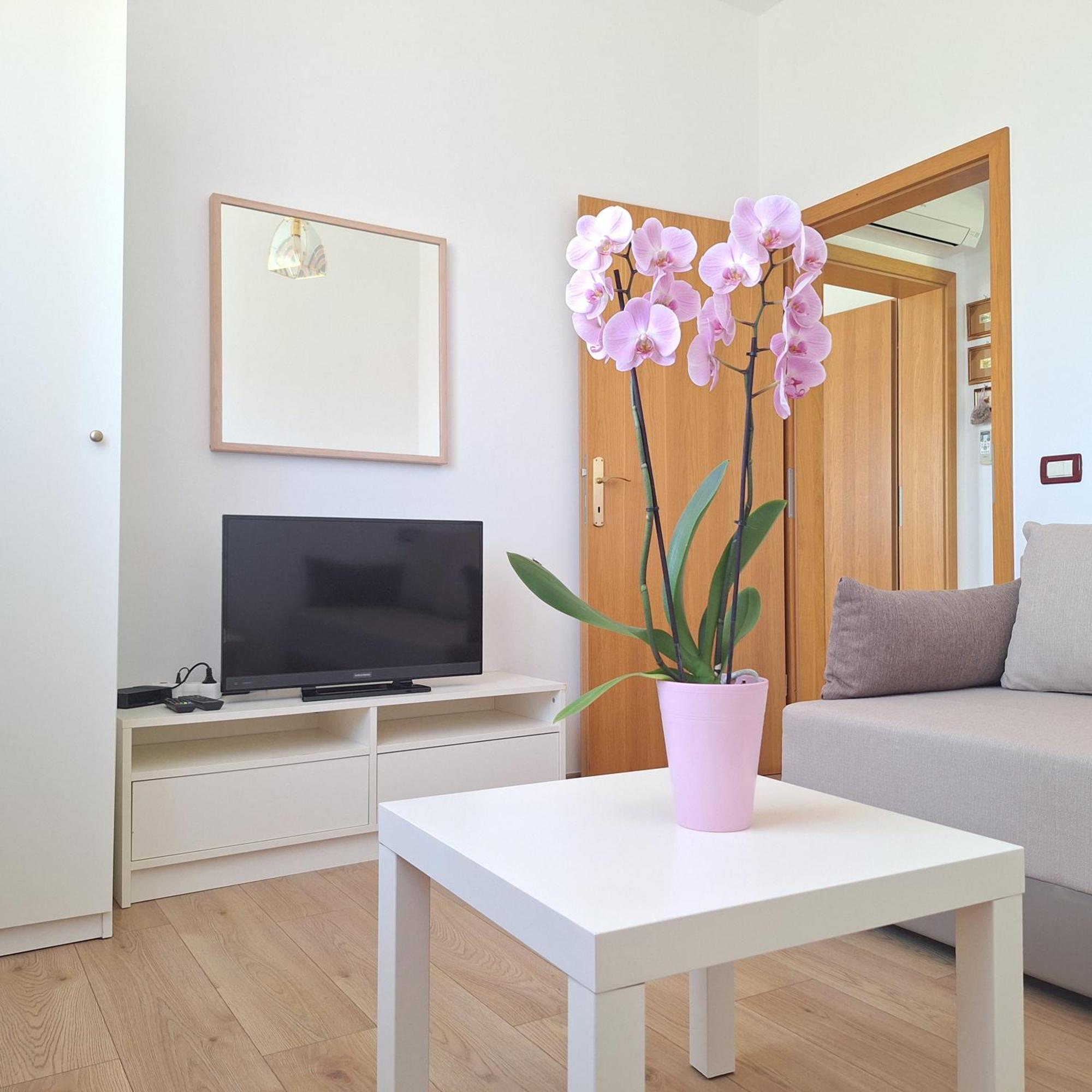 Apartment Mita 그로즈냔 외부 사진